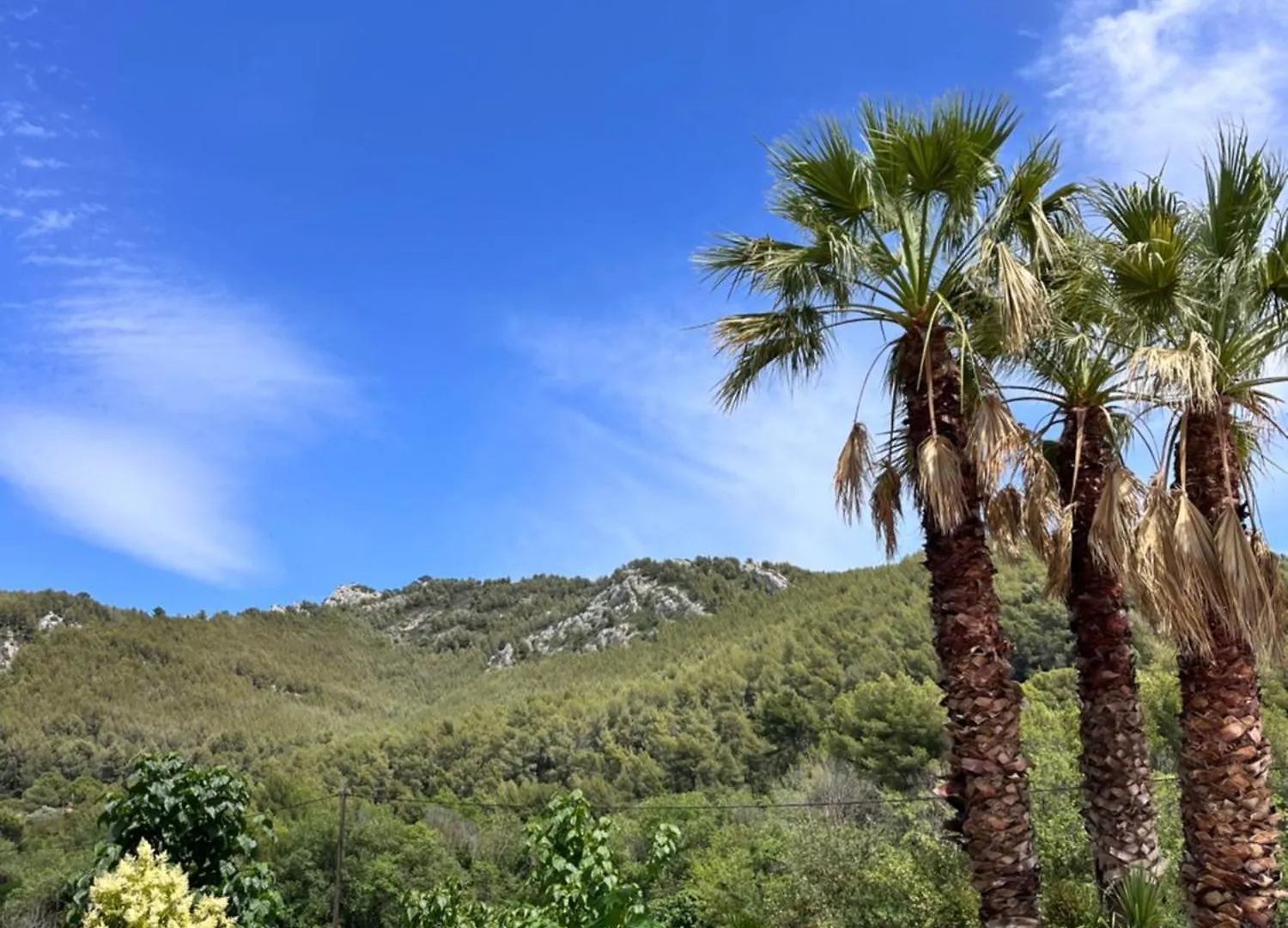 Auberge Des Pins Bandol Hotel